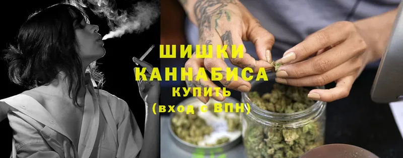 блэк спрут зеркало  Сурск  Конопля OG Kush 